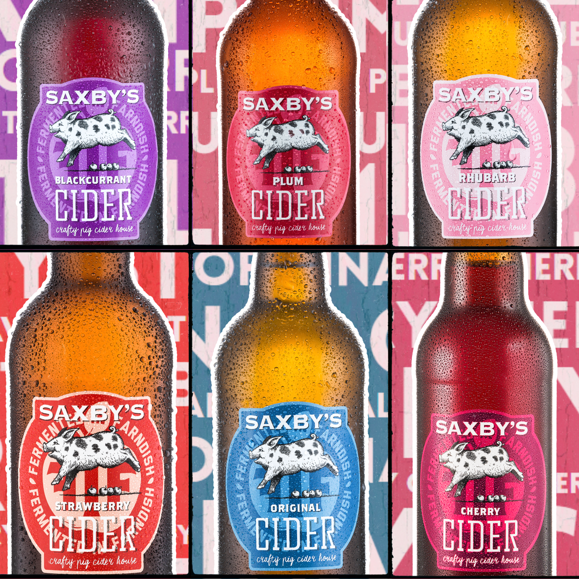 Saxbys Mixed Case of 12 Bottles