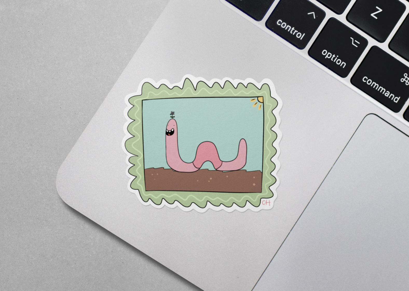 Screenshot 2026-01-08 at 16.18.01.png