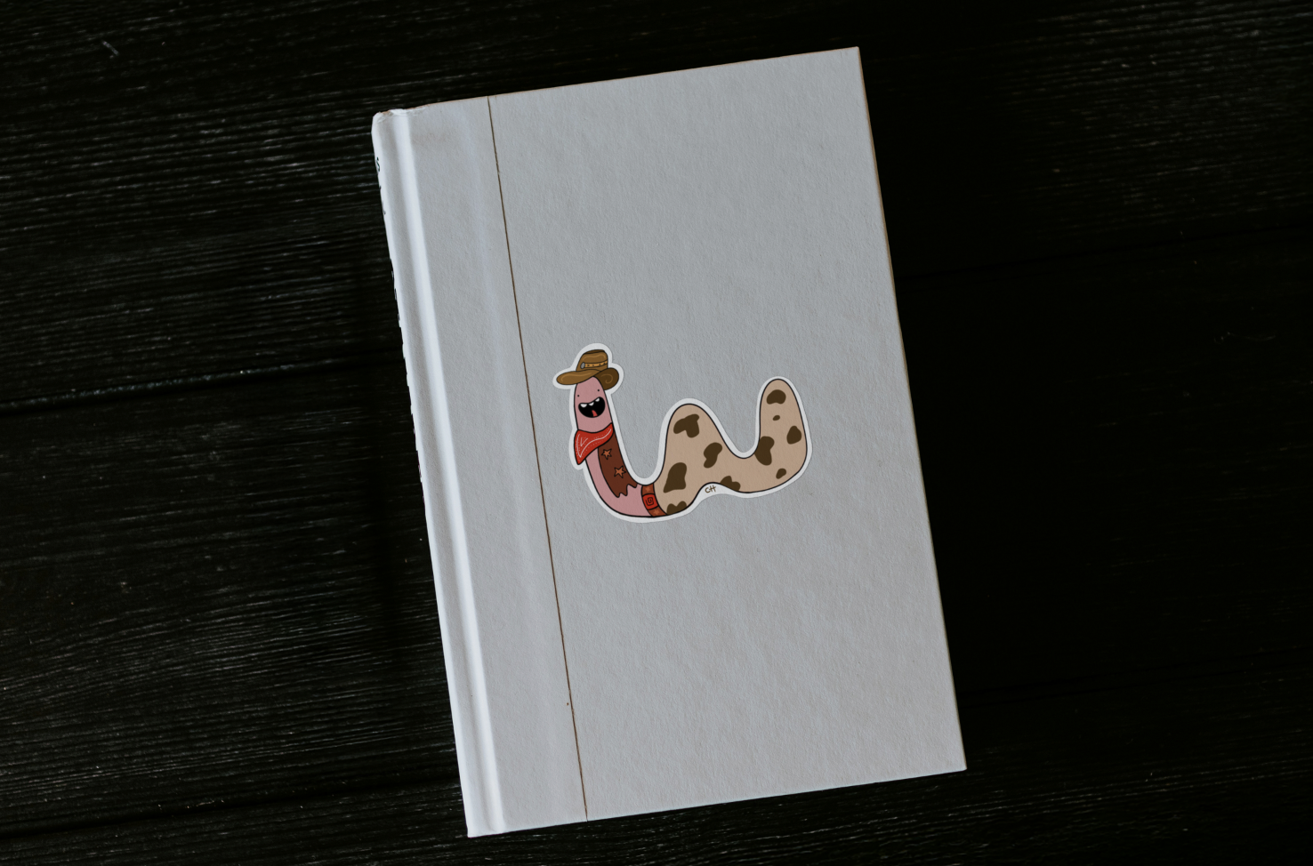 Screenshot 2026-01-11 at 17.06.31.png