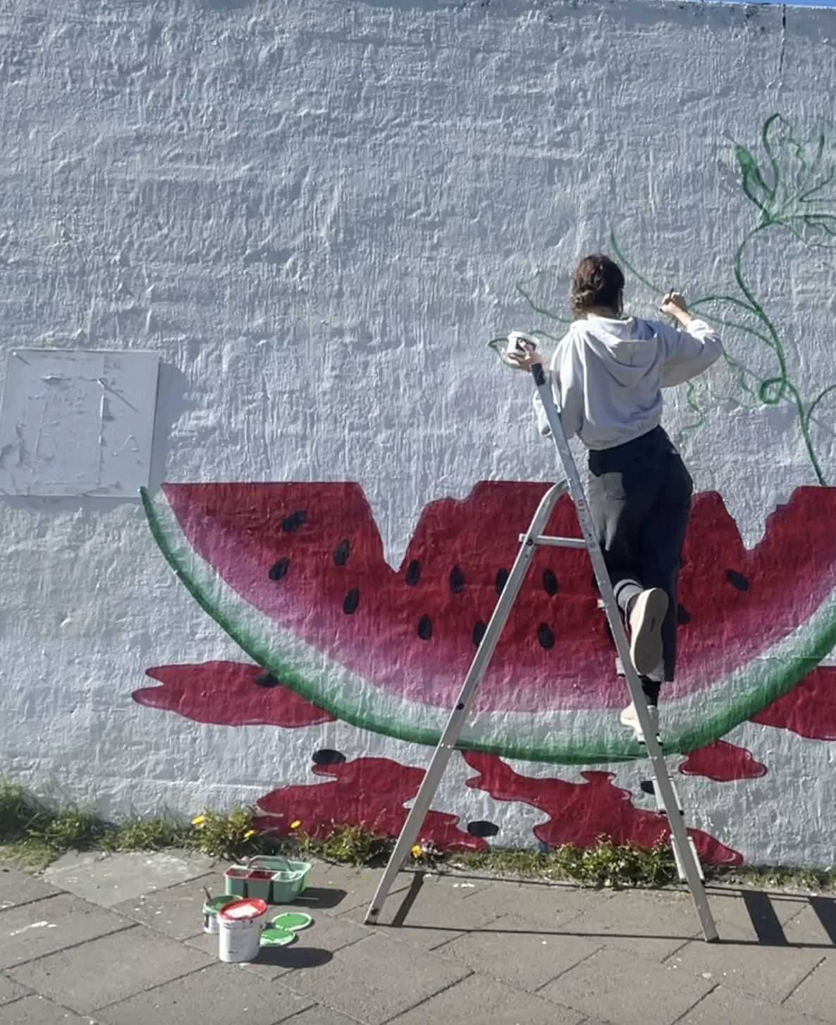 Person painting a large watermelon slice mural on a white wall with a ladder and paint supplies on the ground.