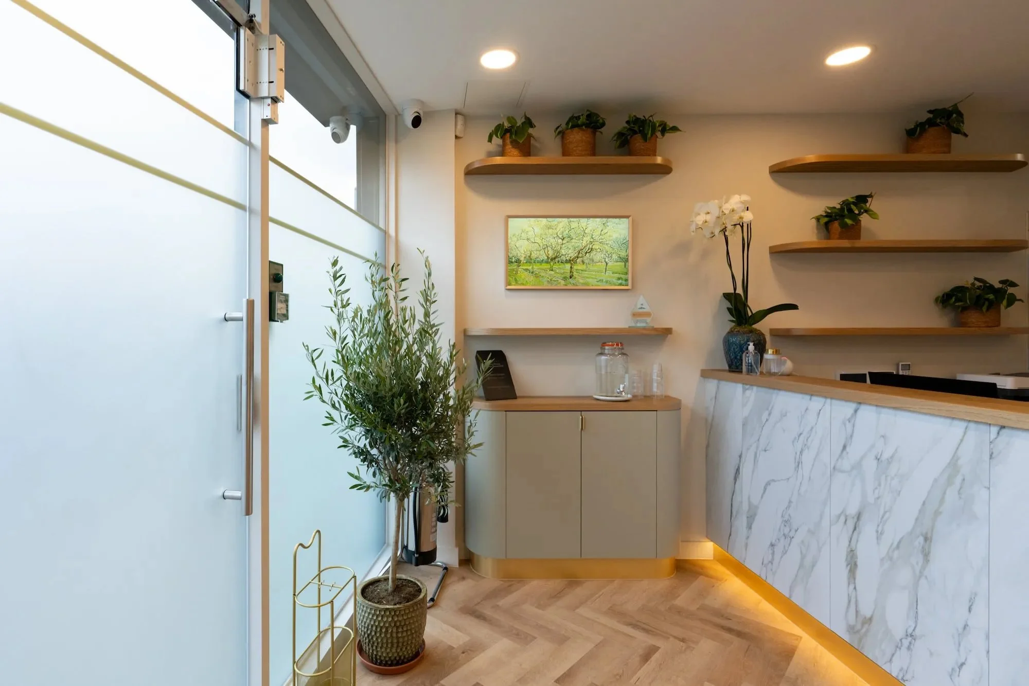 Interior of a modern reception or office area with a white wall, wooden shelves with potted plants, a framed painting of trees, and a marble-topped counter. There is a door with frosted glass panels and security devices nearby, along with a tall potted plant in the corner.