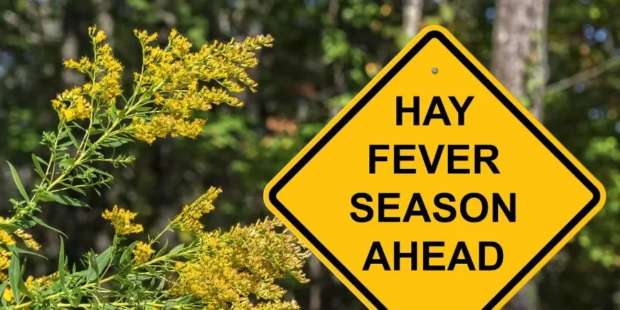 Hay Fever or Cold? Key Differences, Symptoms &amp; How to Tell