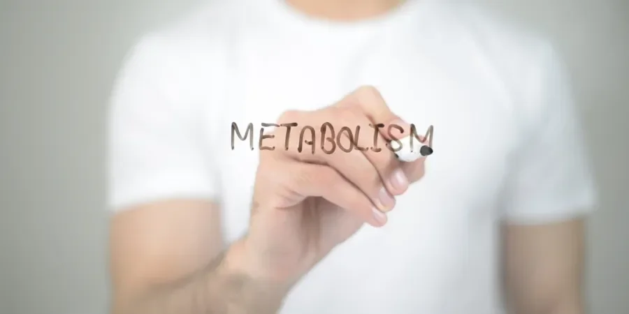 Metabolic Health Screening at 40: The Essential Tests Every Man Should Know
