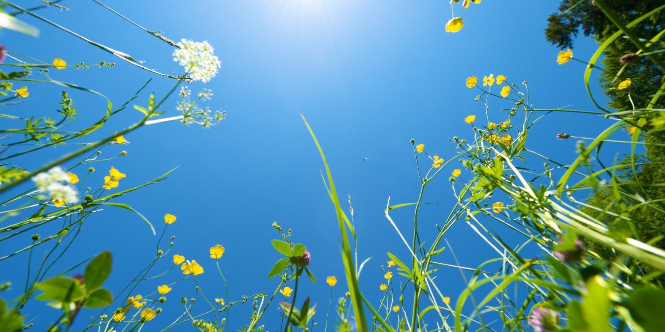 The Most Common Health Problems During Summer and How to Stay Well