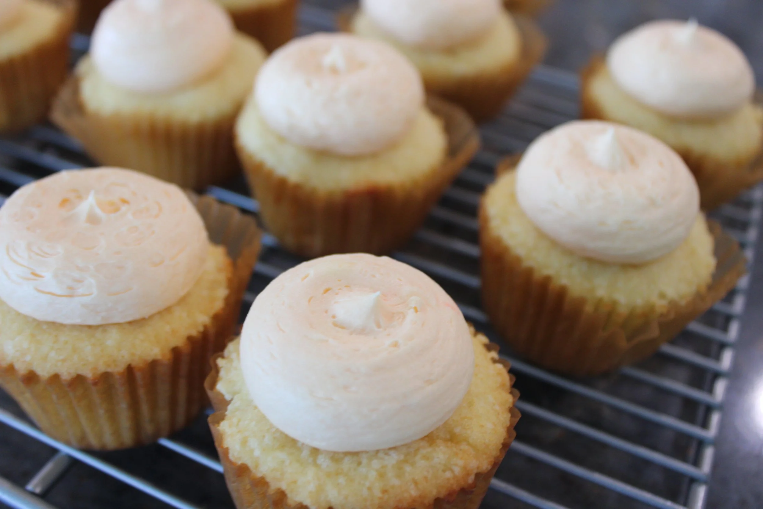 Vanilla Cupcakes with Vanilla Buttercream