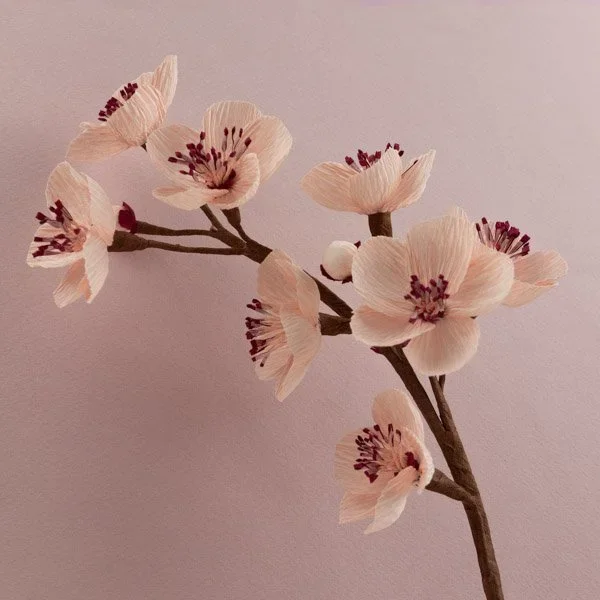 Fondant Fleur de sakura