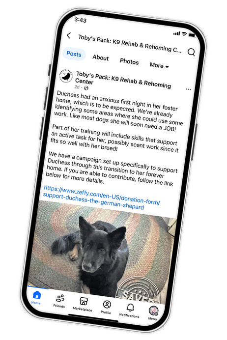 CONNECT: Follow & Share Our Socials