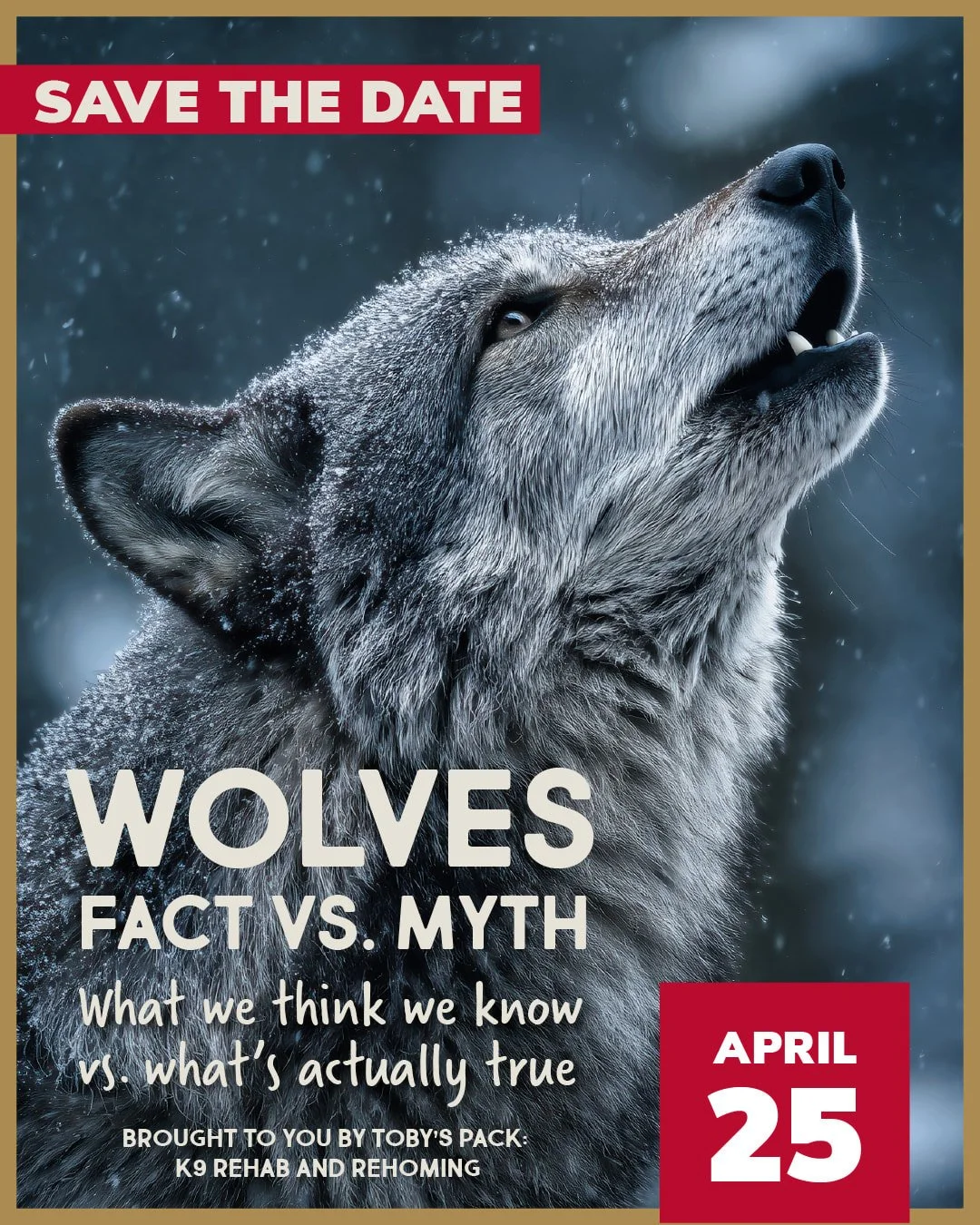 ATTEND: Wolves: Fact vs Myth
