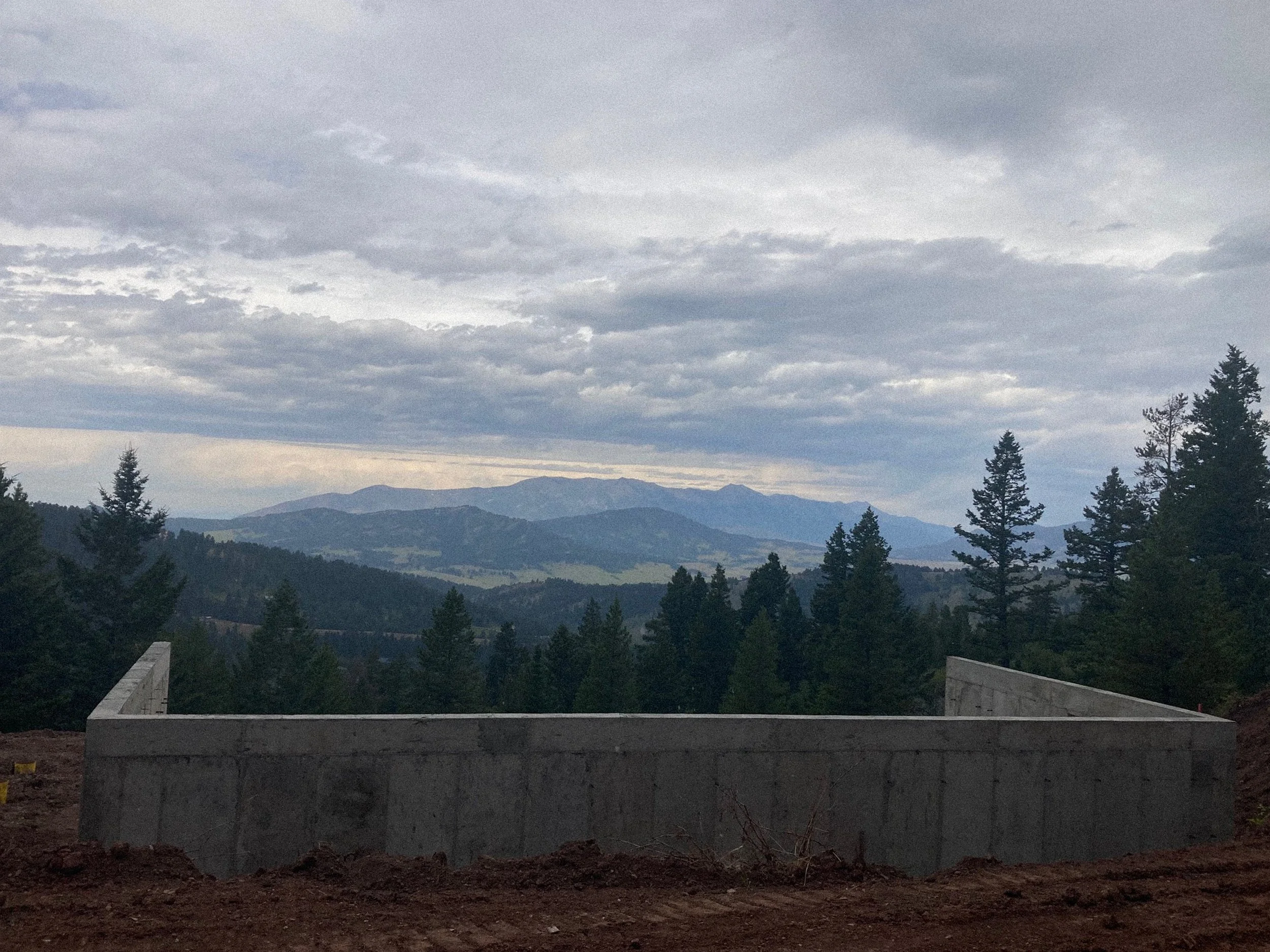 Blue Roan Photo -1754.jpg