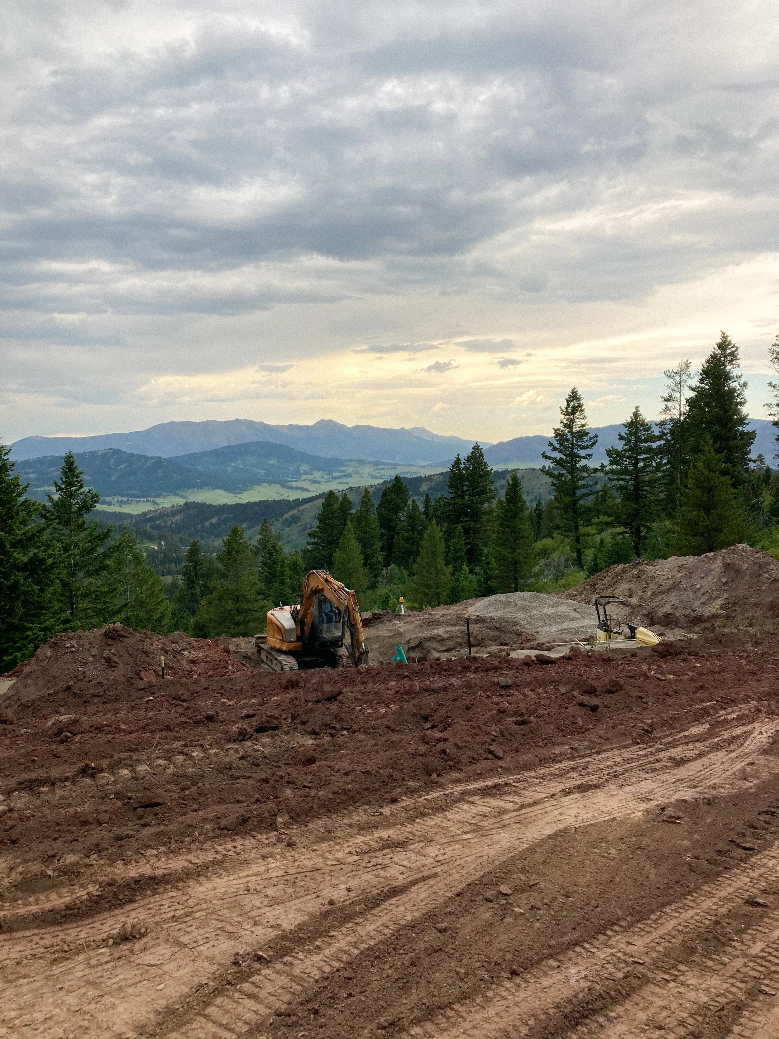 Blue Roan Photo -1637.jpg