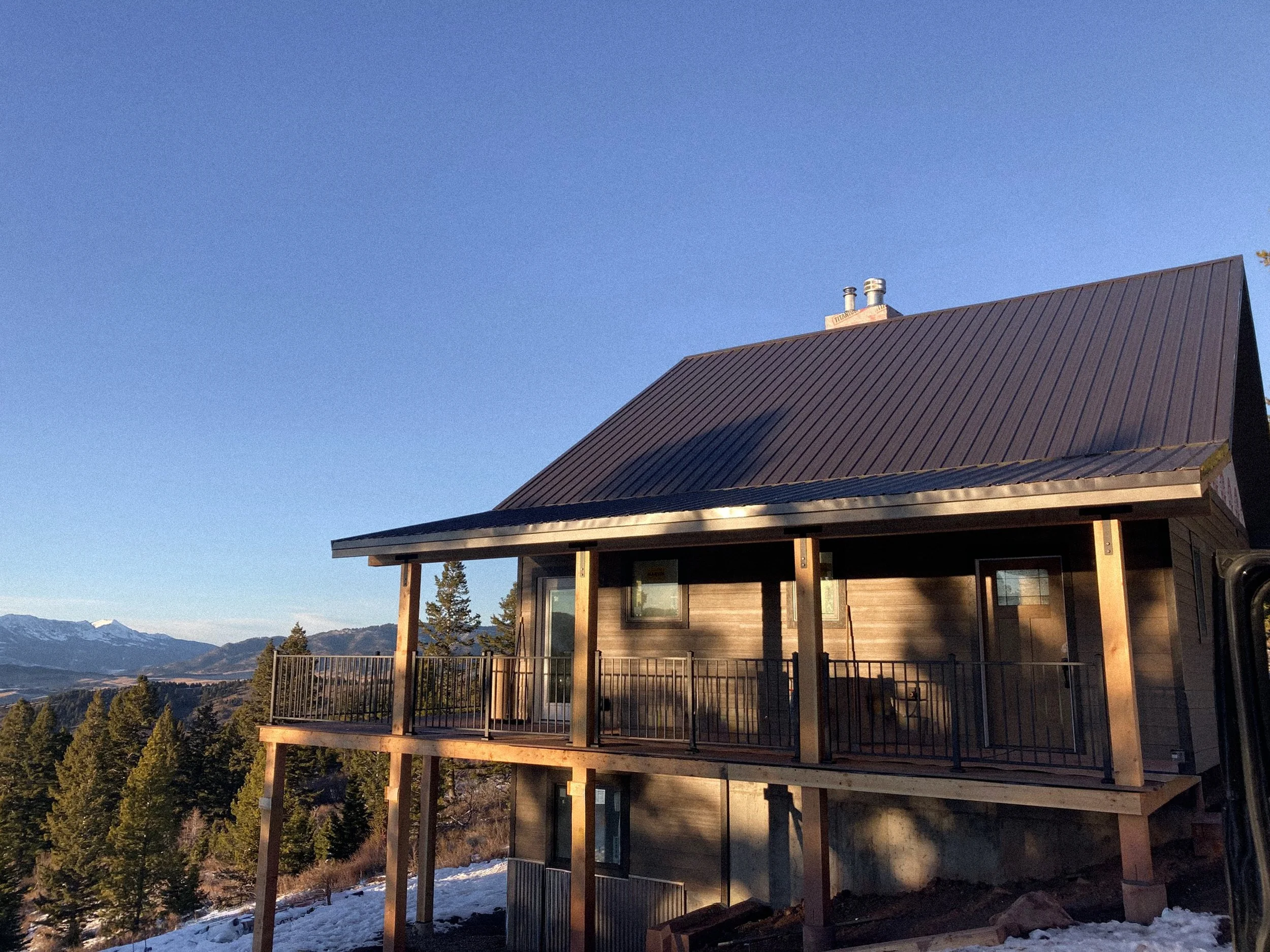 Blue Roan Photo -2240.jpg