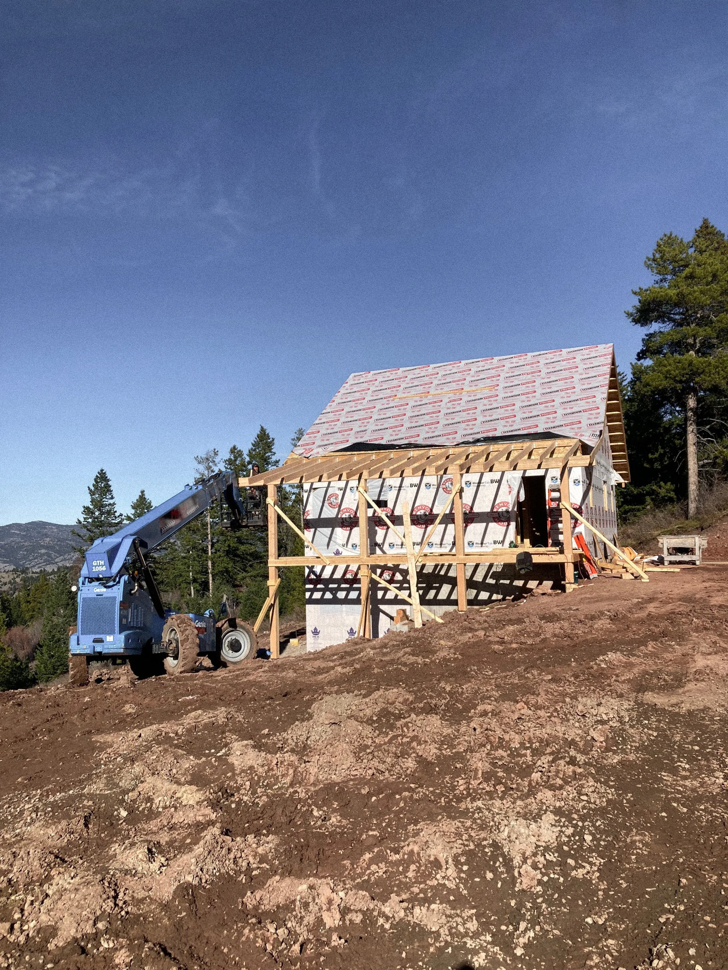 Blue Roan Photo -1989.jpg