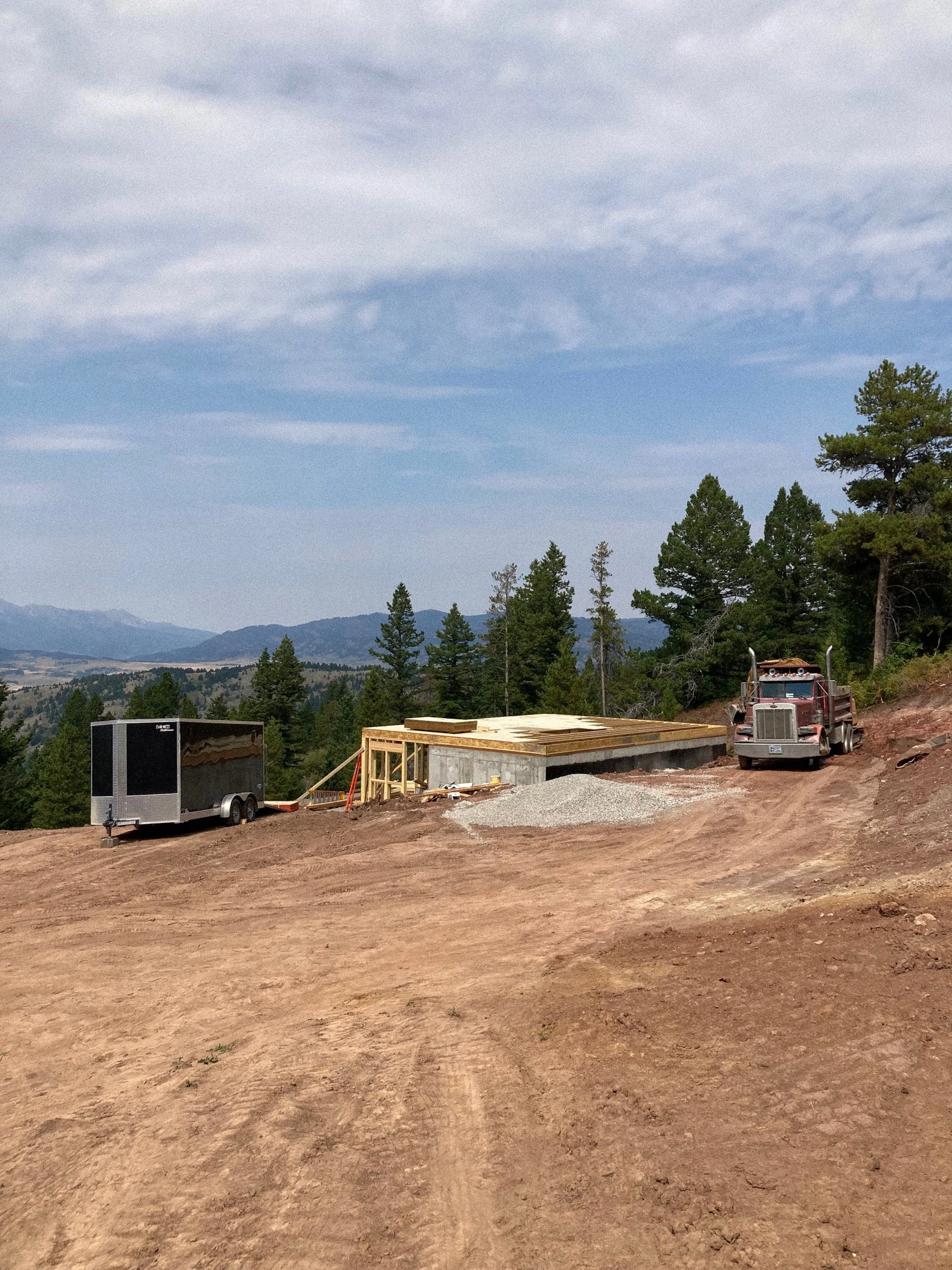 Blue Roan Photo -1826.jpg