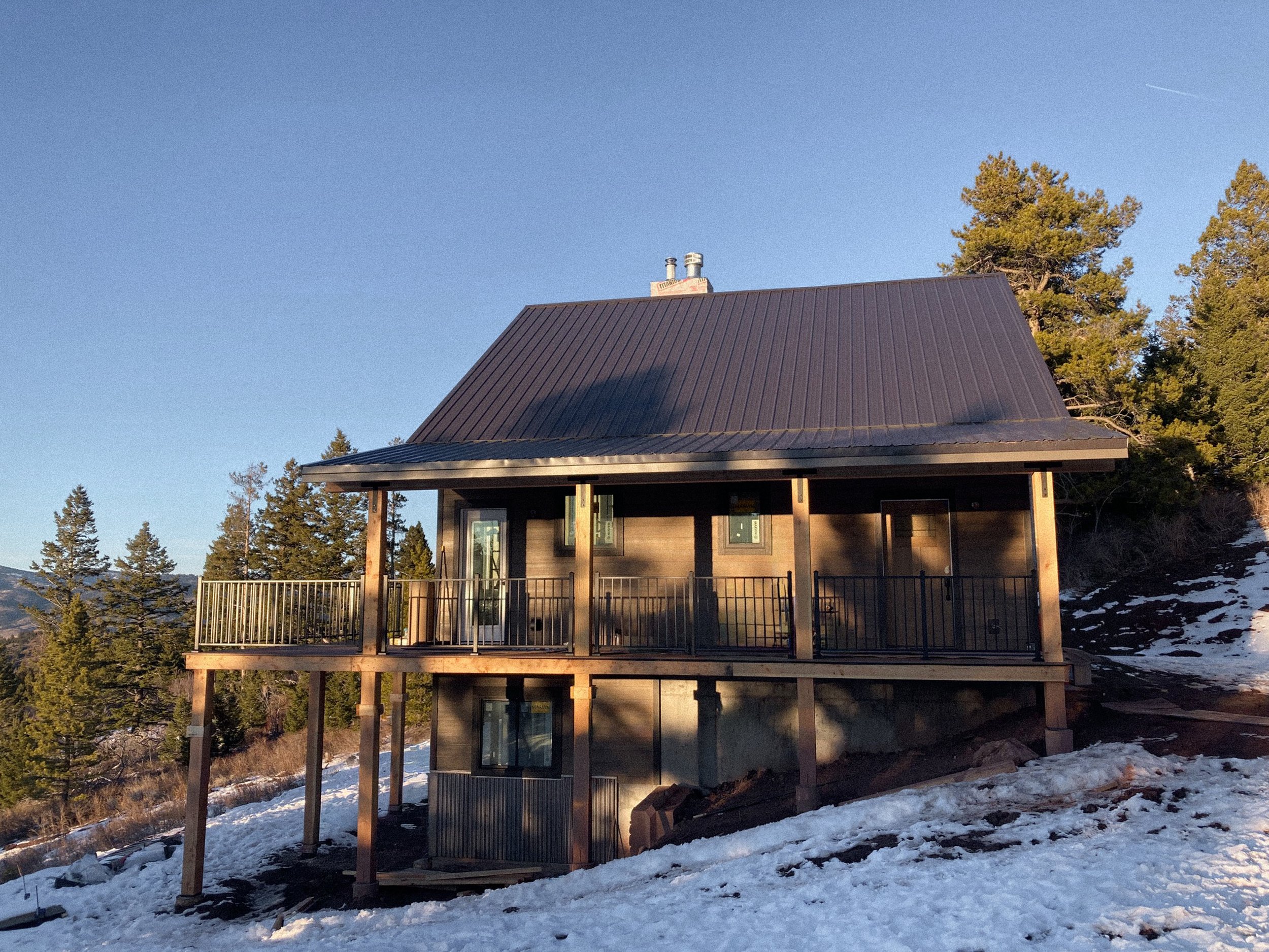 Blue Roan Photo -2239.jpg