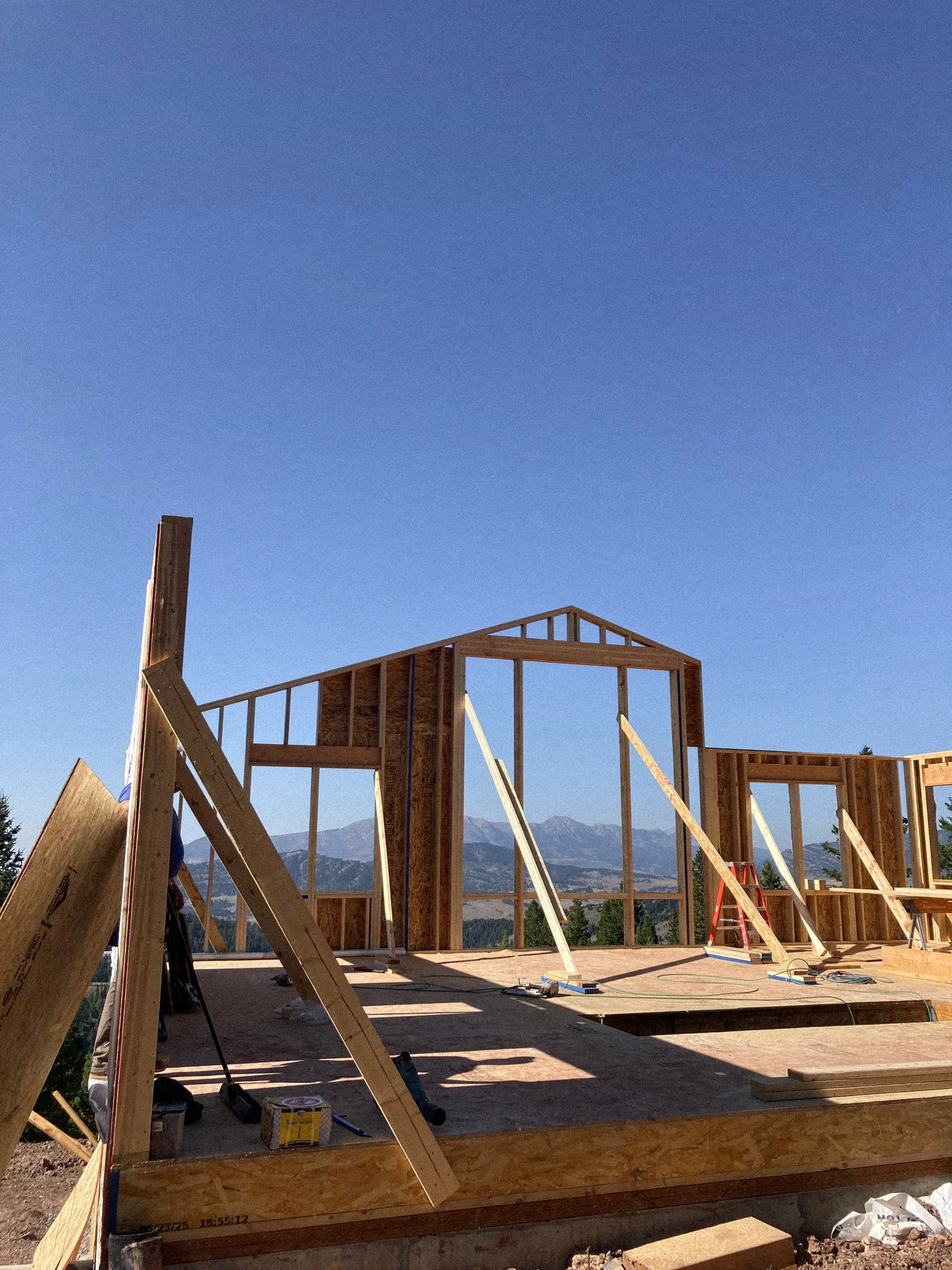 Blue Roan Photo -1878.jpg