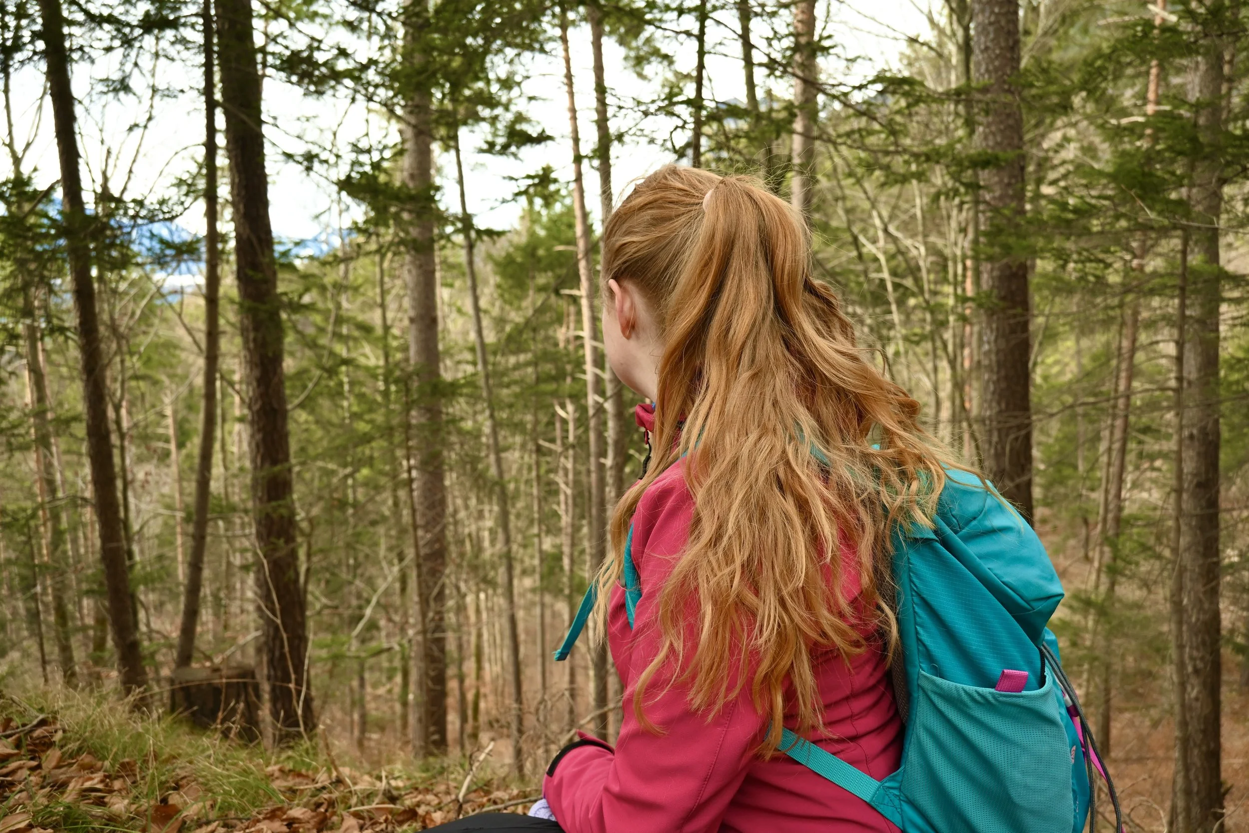 Bos met muts0361 kopie.JPG