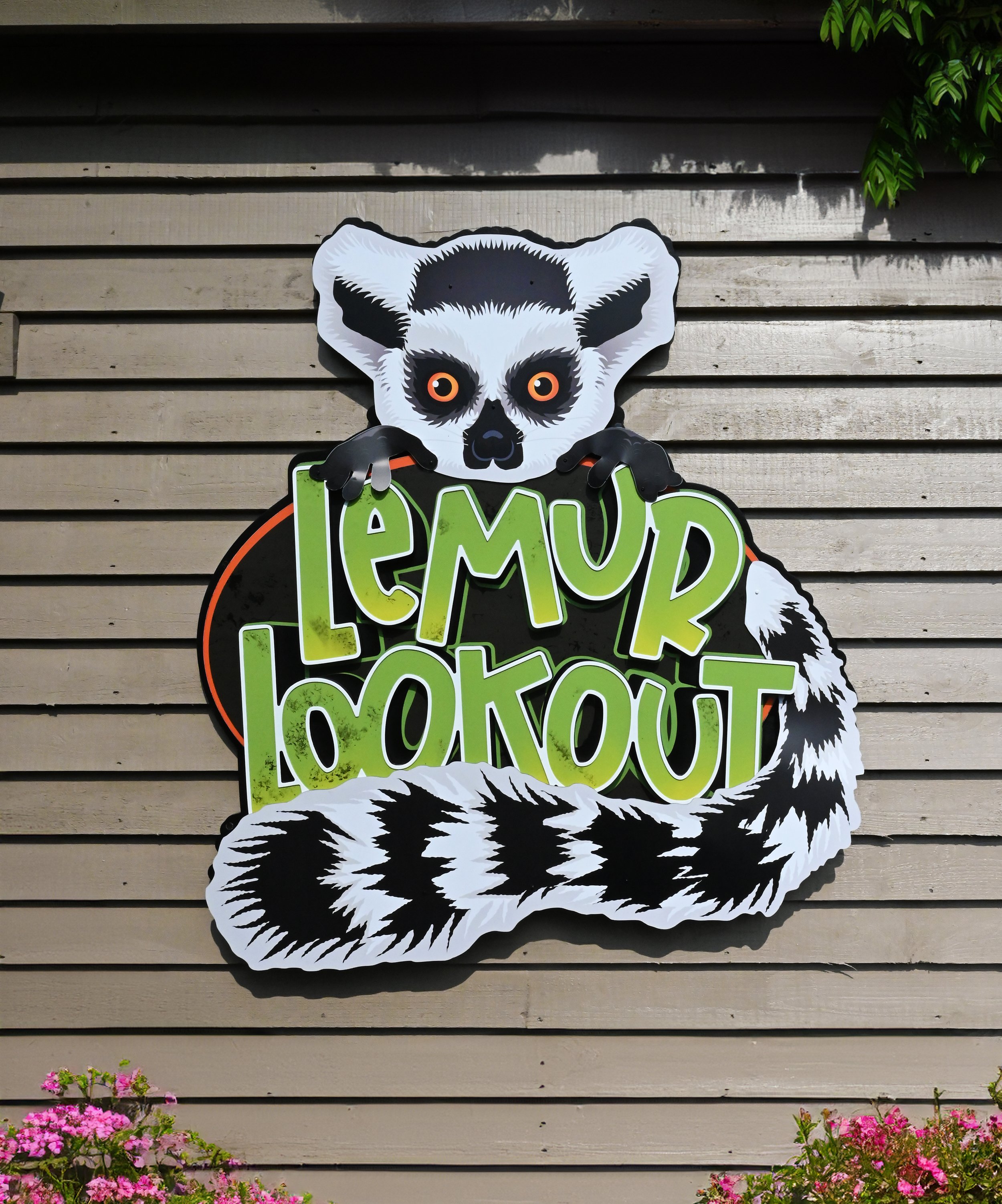 Lemur_Lookout.jpg