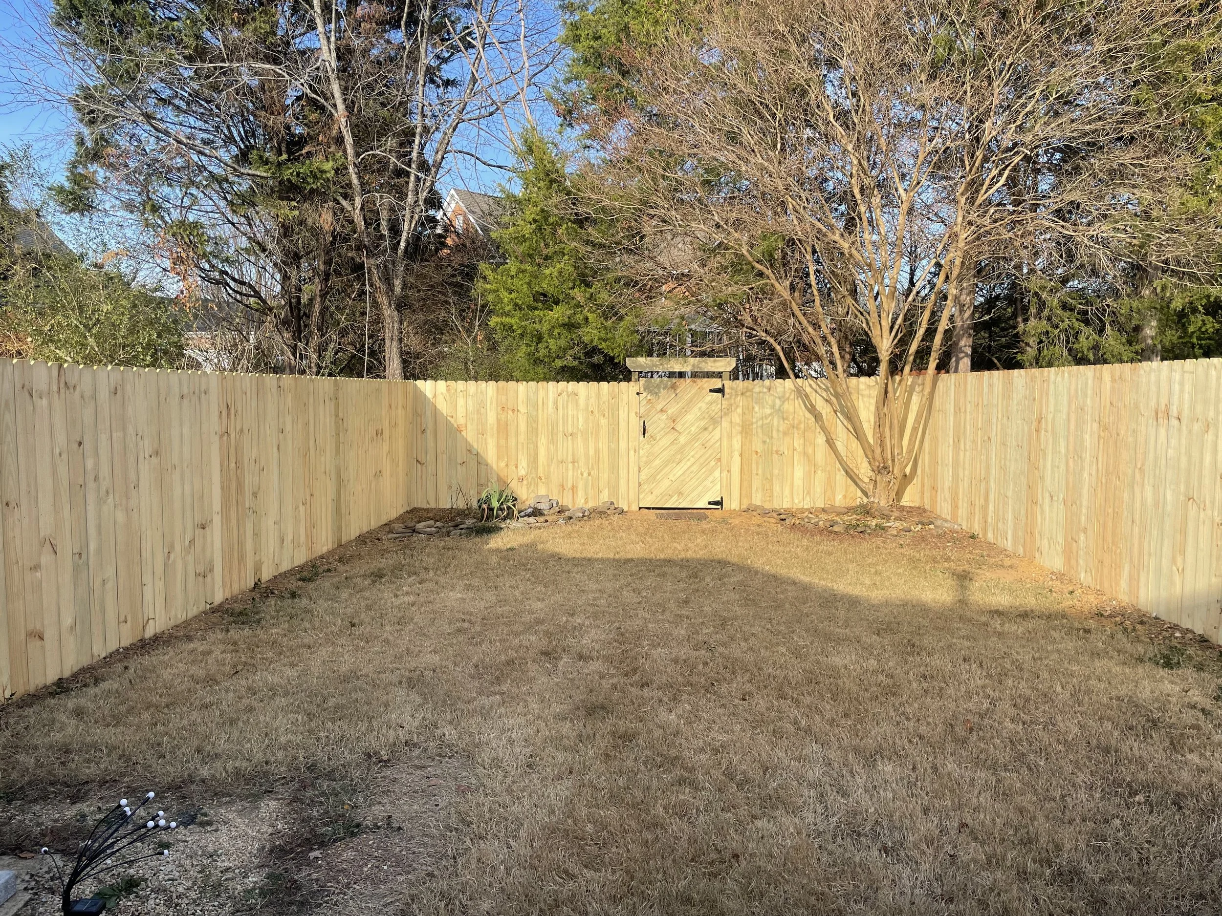 A backyard enclosed by a tall wooden fence, with a tree on the right side and a small garden bed in the corner. The grass appears dry, and there are some small rocks and plants in the garden bed. The sky is clear and sunny.