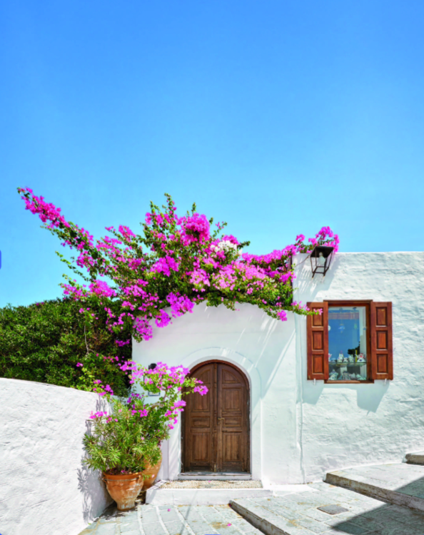 White Mediterranean house with wooden window shutters, brown wooden door, pink bougainvillea plant, potted plant, and stone steps under a clear blue sky.