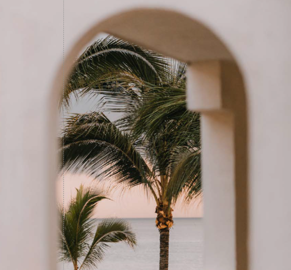 Palm trees viewed through an arched opening in a wall.