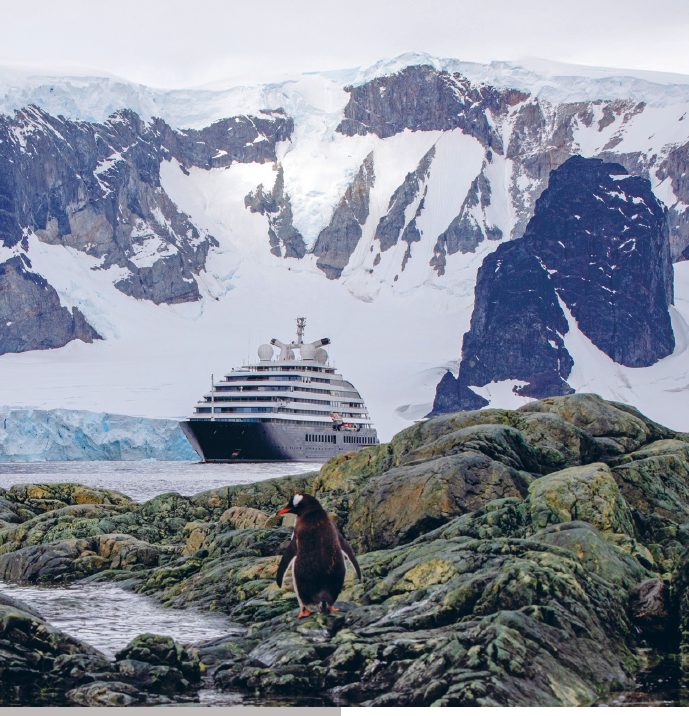A penguin walking on rocky terrain near water with a cruise ship in the background, set against snow-capped mountains and glaciers.
