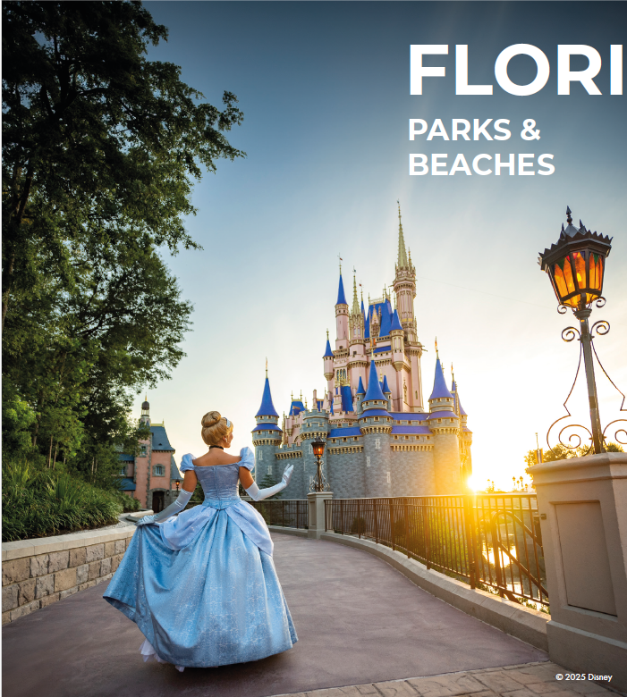 A woman dressed as Cinderella walking towards Cinderella's Castle at Disney World during sunset.