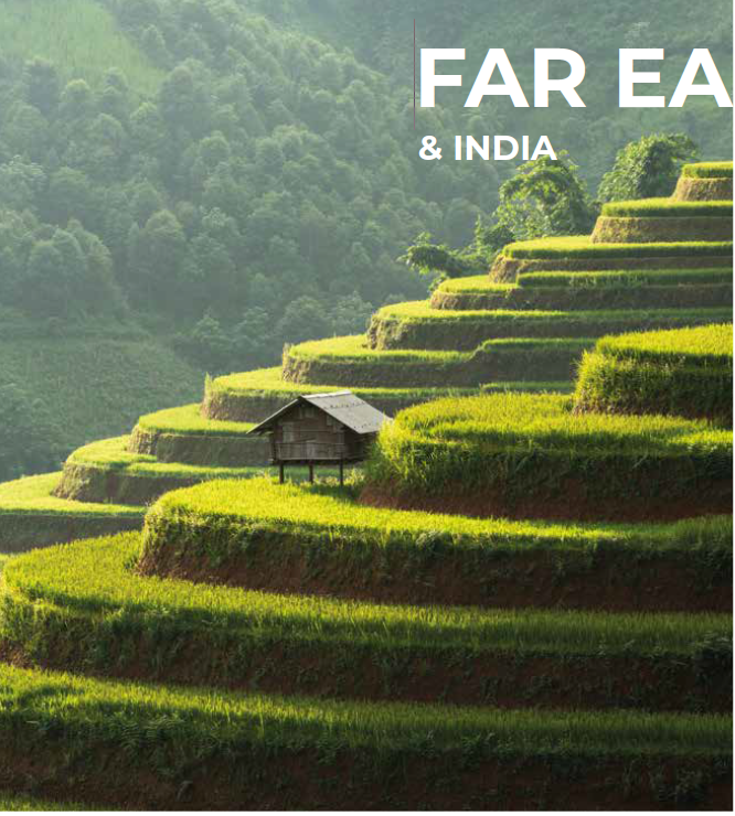 Terraced green rice fields on a hillside in India with a small wooden hut and lush forest in the background.