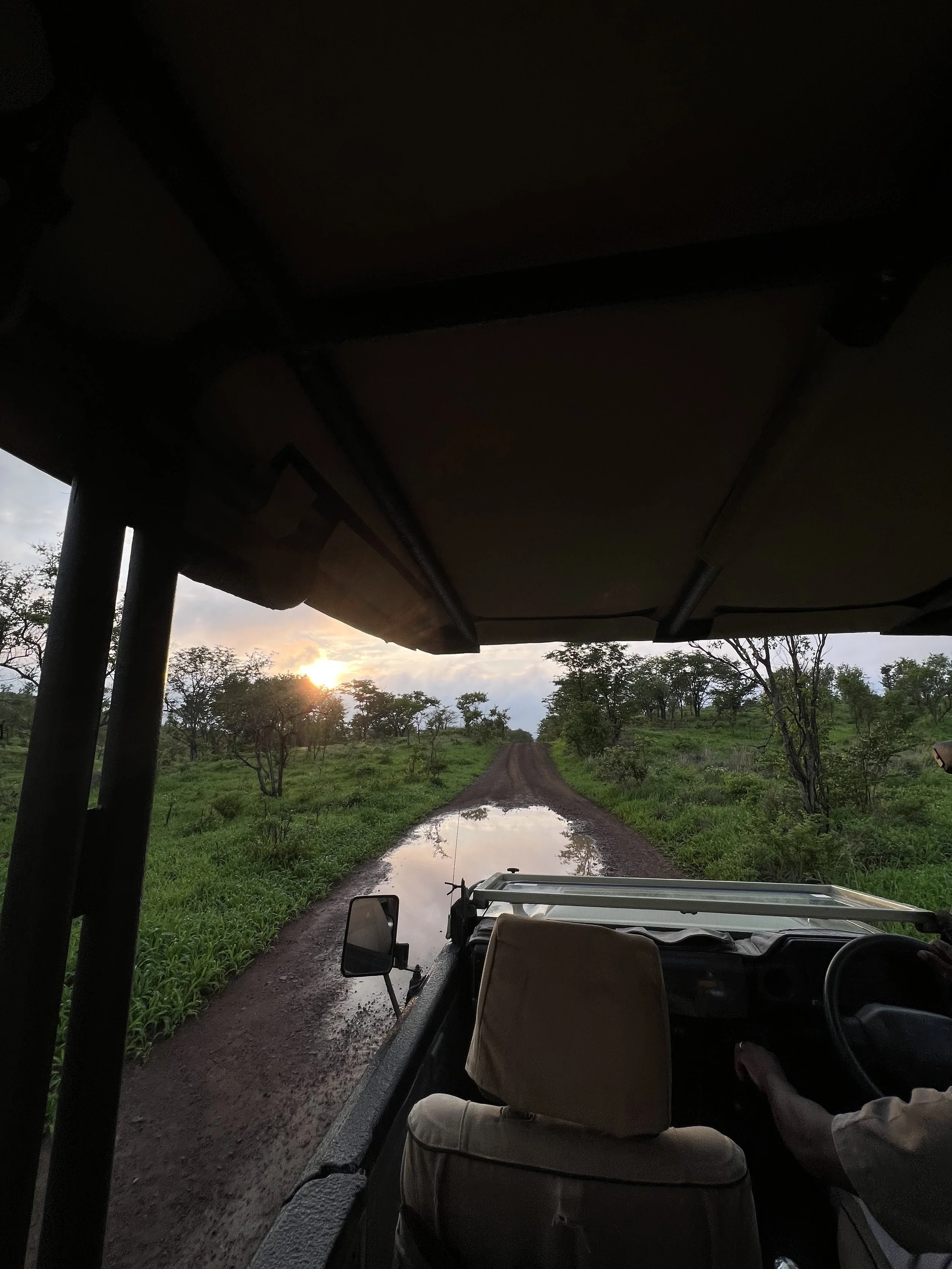 Why Some of the Best Safaris Happen Inside Protected Concessions