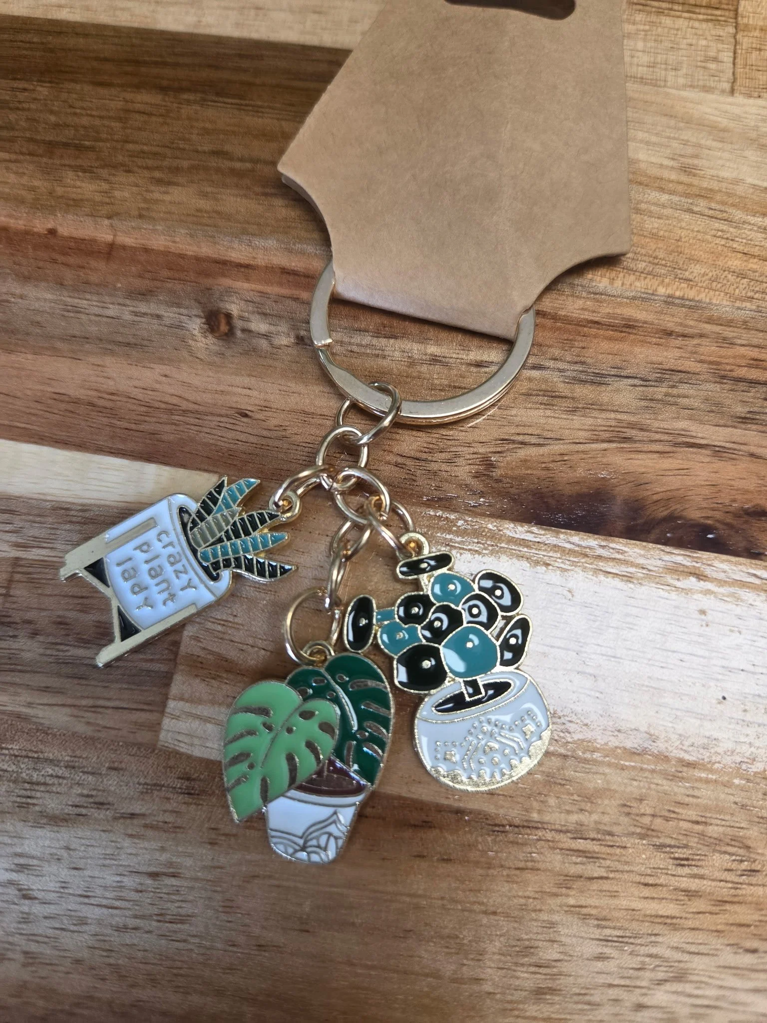 Crazy Plant Lady Key Chain