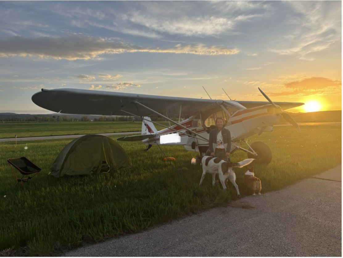 A person standing next to a small aircraft with two dogs at sunset, with a tent set up on grass nearby.