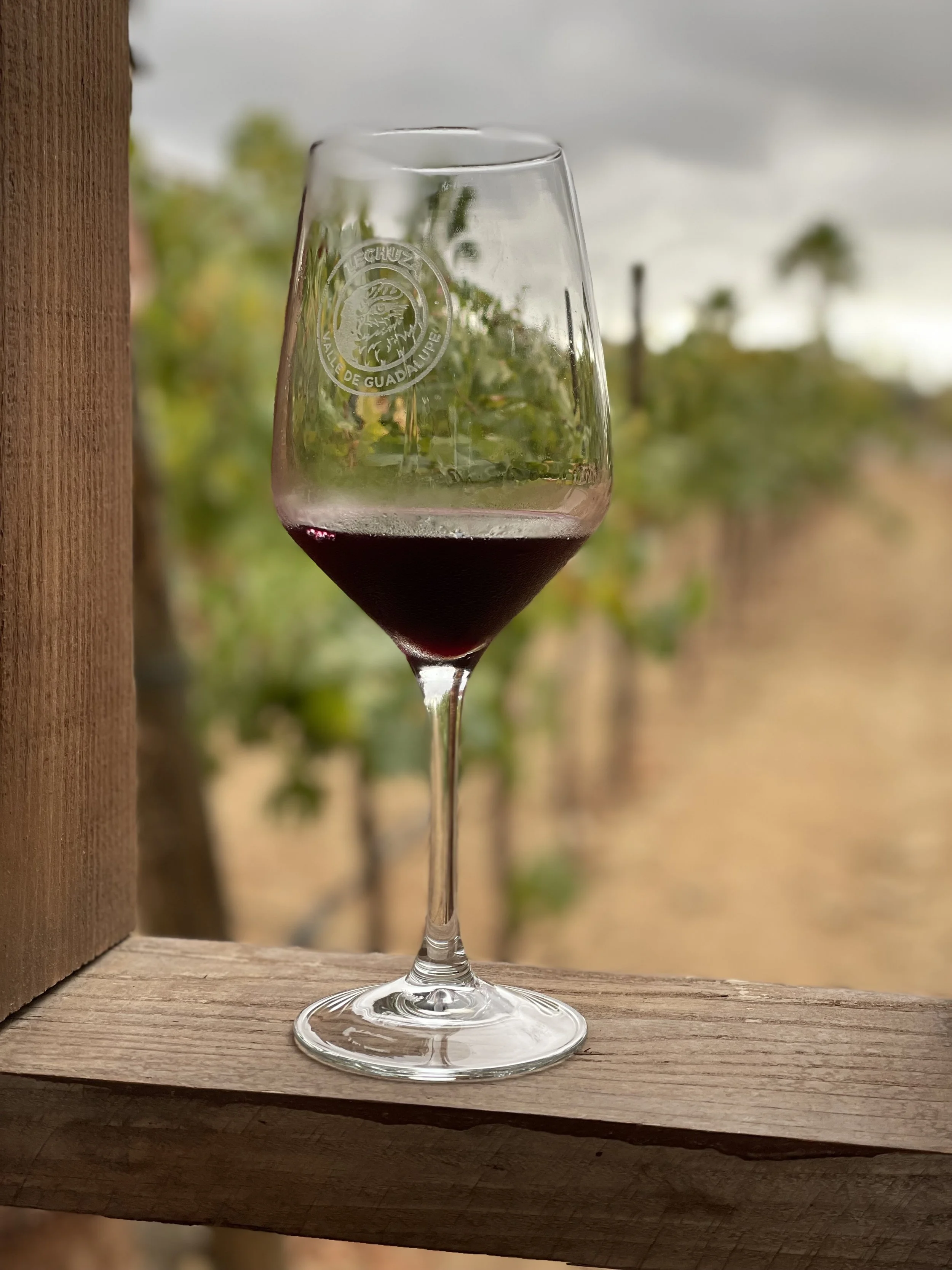 For Wine Lovers and Travelers