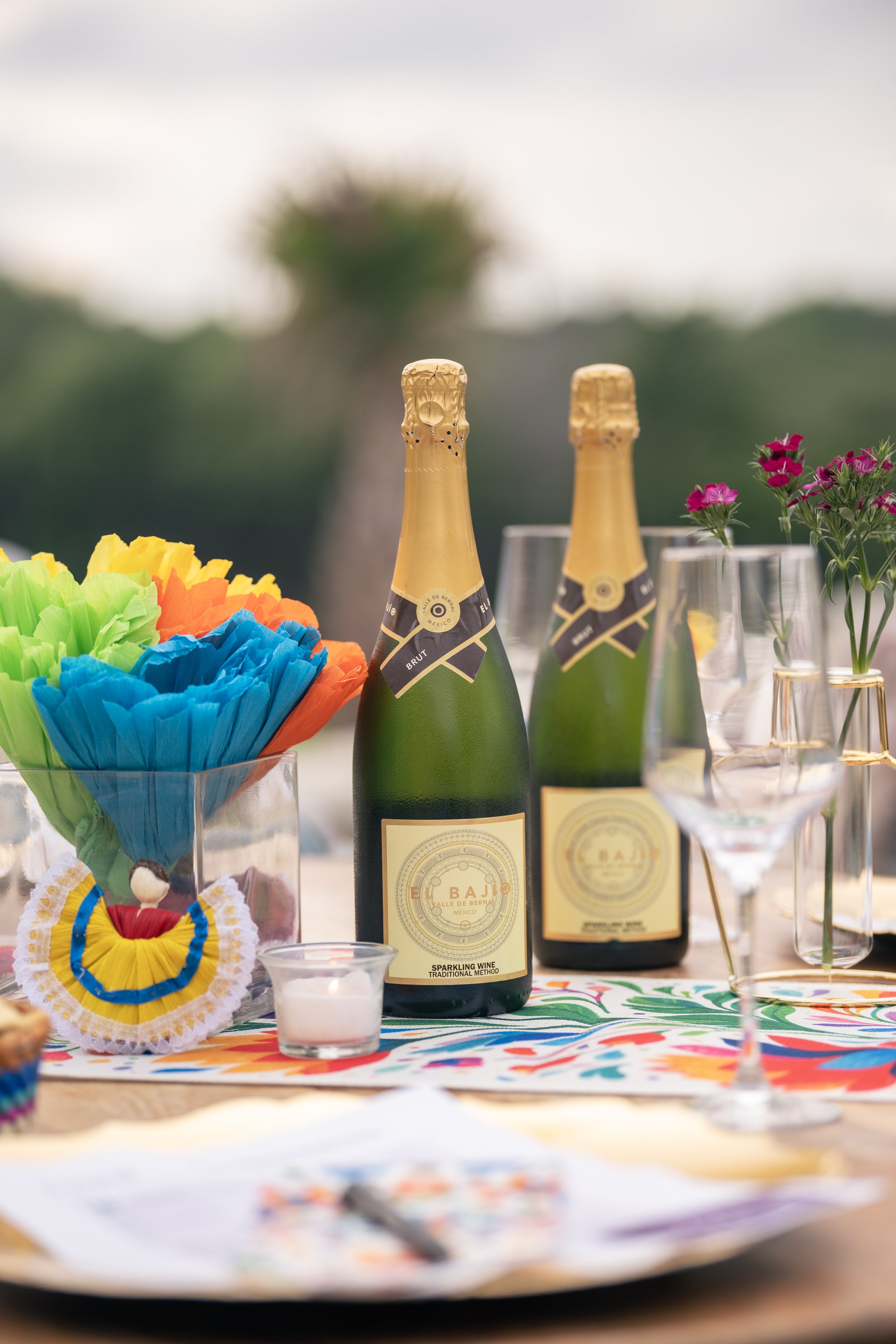 Private wine tasting experience Austin: Mexico Beyond the Margarita