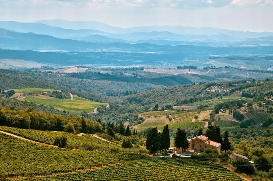 The French Wine Region You've Never Heard Of (That's All Over Your HEB)