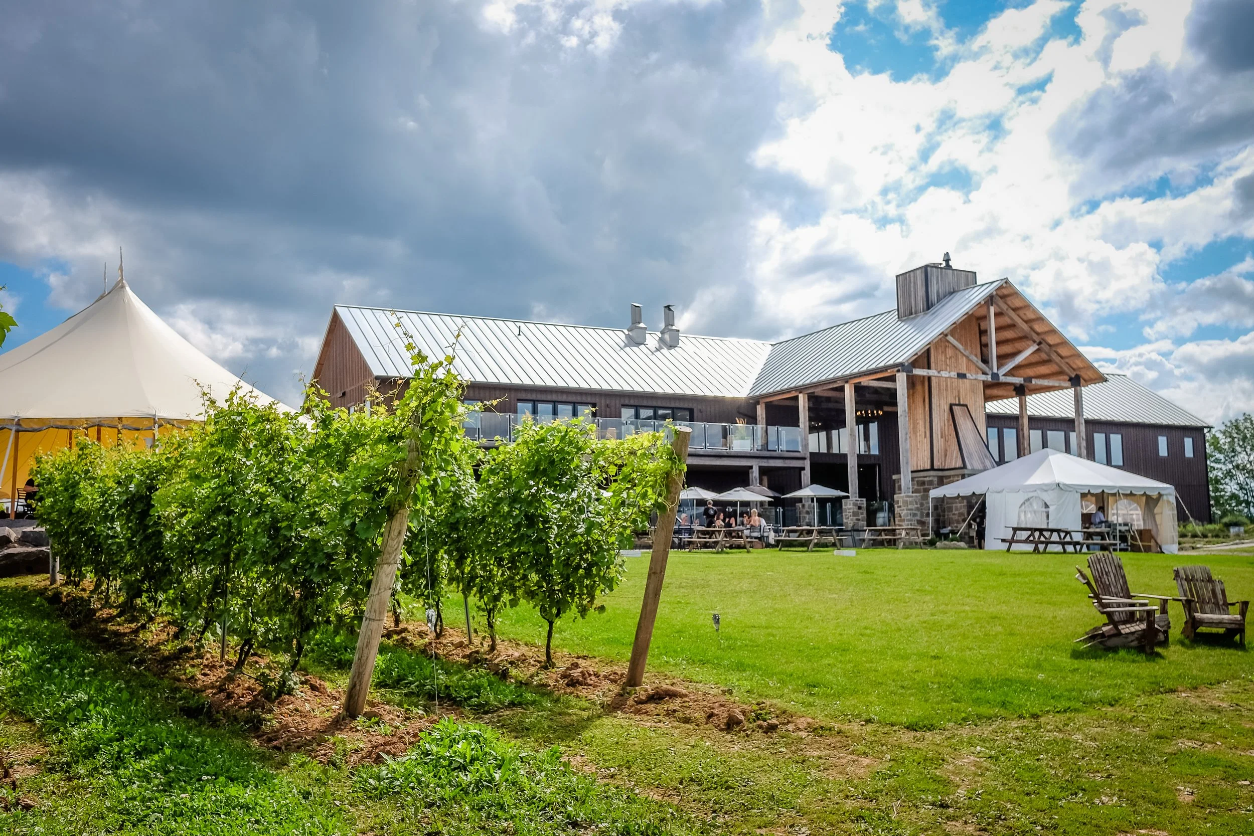 Small Wineries Don't Have a Distribution Problem, They Have a Clarity Problem