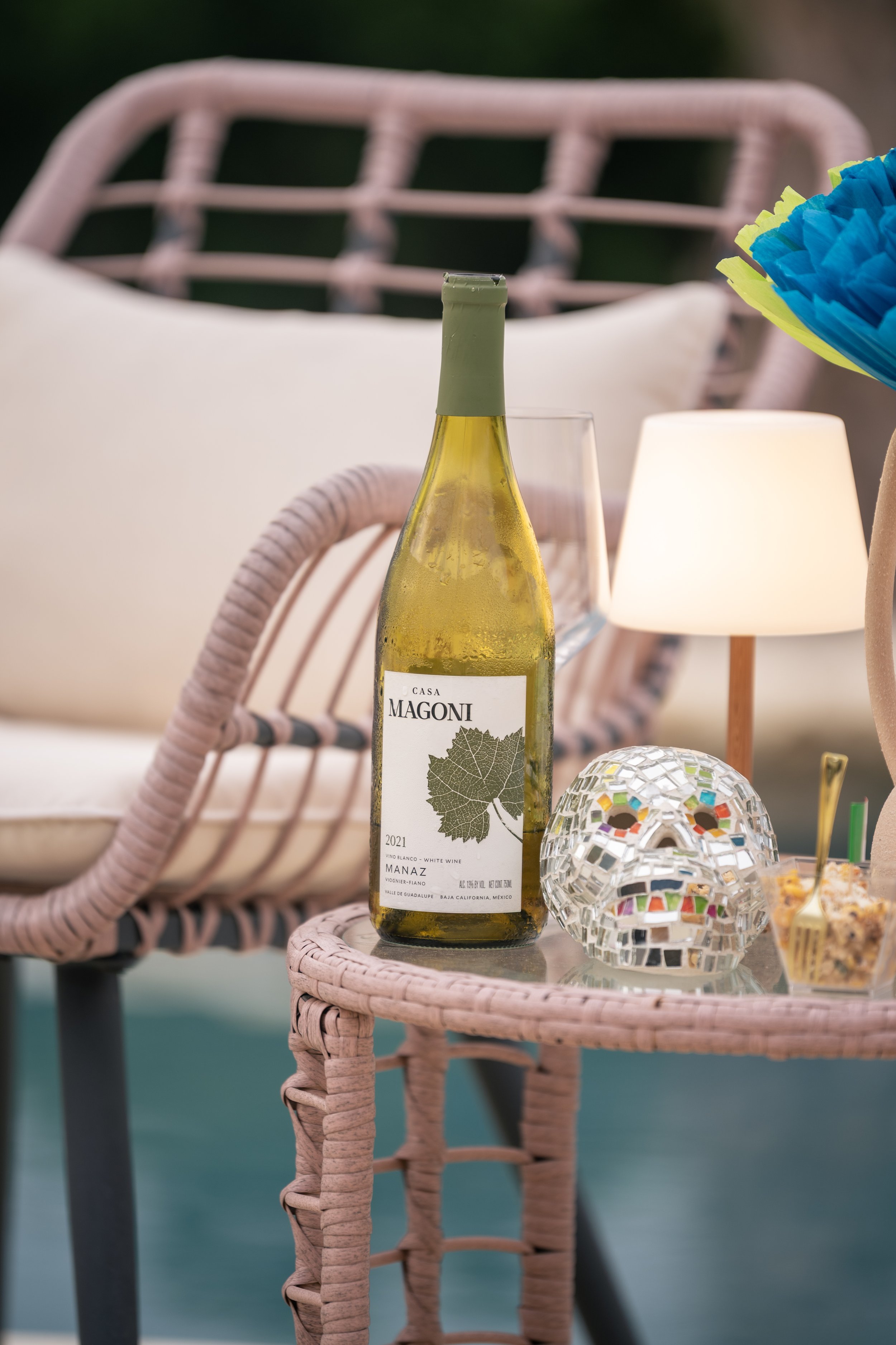 Private wine tasting experience Austin: Mexico Beyond the Margarita
