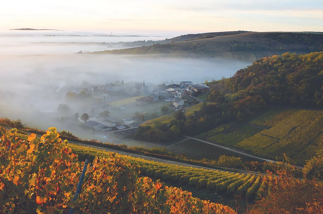 The Loire Valley in the fall with vineyards showing int the forefront and fog covering the town and river in the background