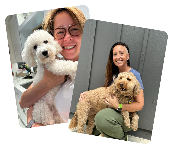 Woman holding small white dog and another woman holding medium brown dog