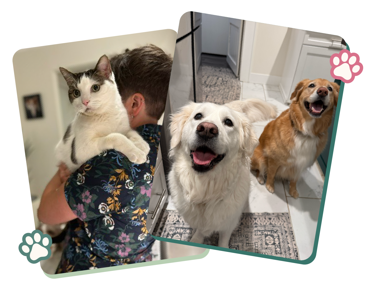 Person holding hat on their shoulder and smiling dog