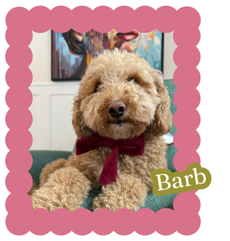 Dog named barb