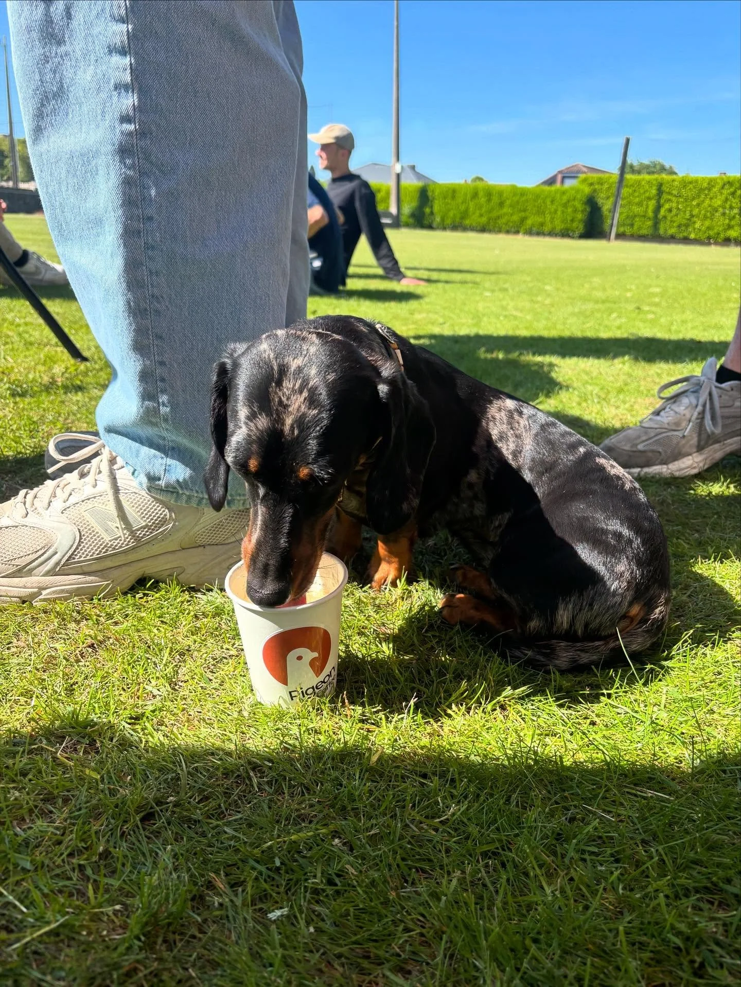 Fluffy klanten zijn onze favoriet 🐶☕️