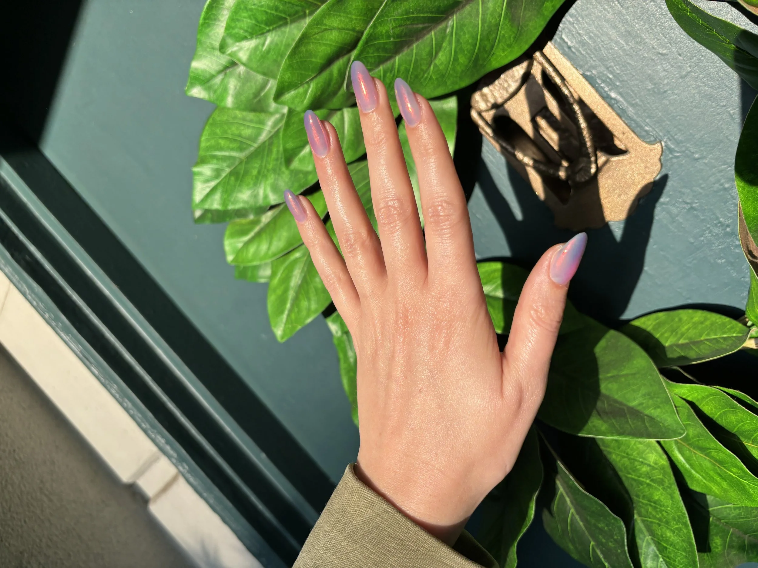 A hand with long, shiny, iridescent nails resting on a large green leaf. There is also a small decorative object with a black design on a brown background nearby.