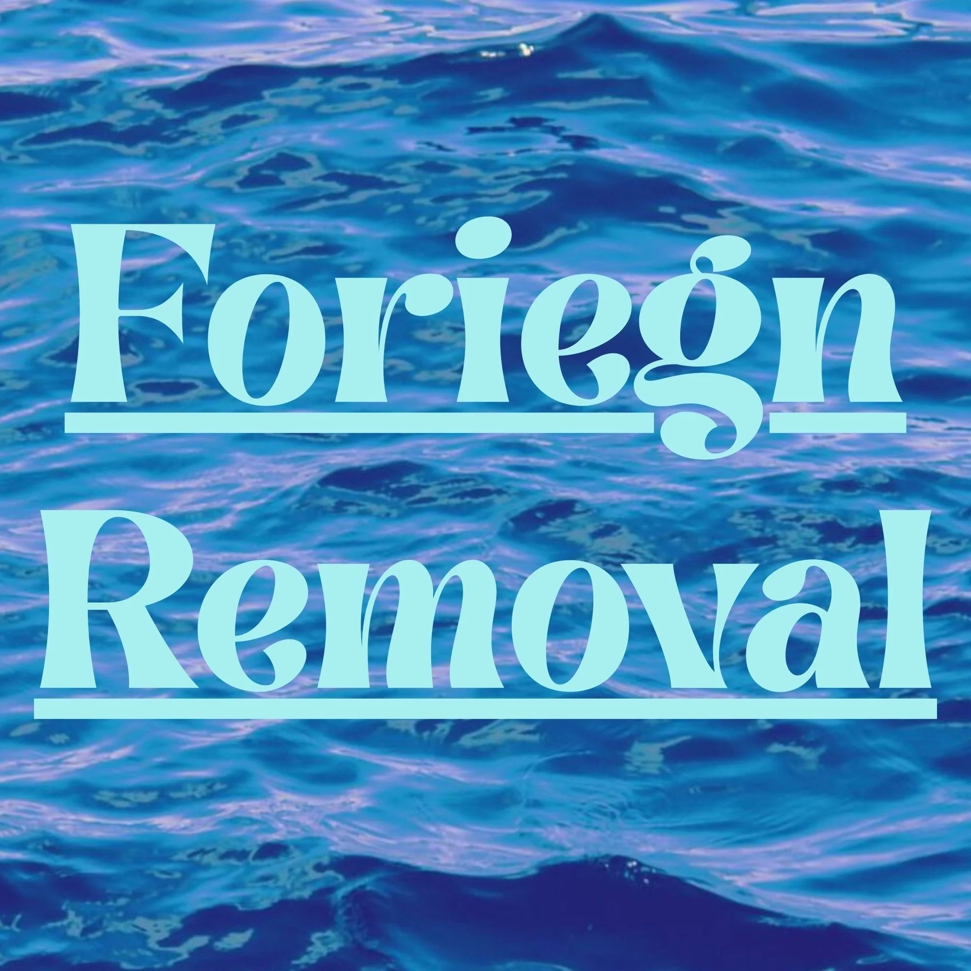 FOREIGN REMOVAL