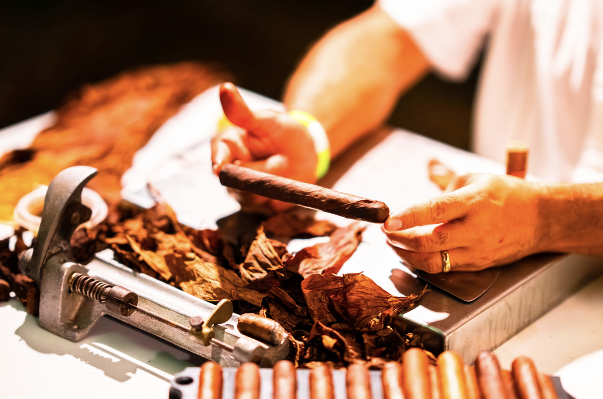 Screenshot 2026-02-23 at 7.35.37 PM.png