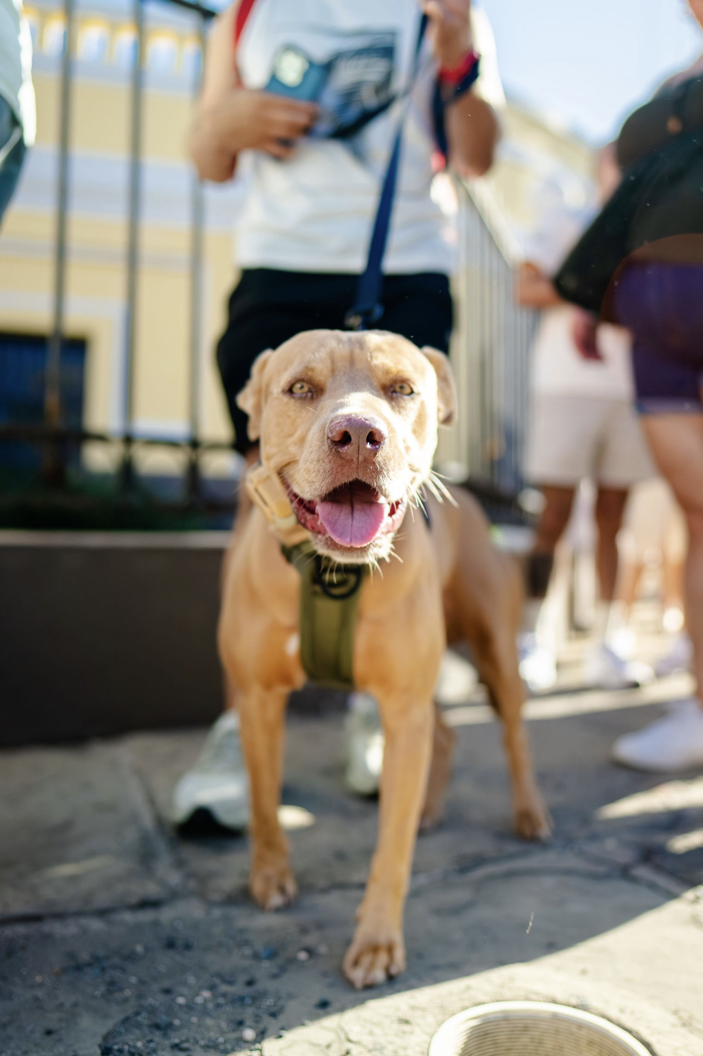 Screenshot 2026-02-23 at 7.40.33 PM.png