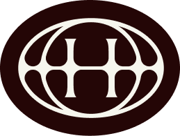 A stylized white globe with horizontal and vertical lines on a dark background.