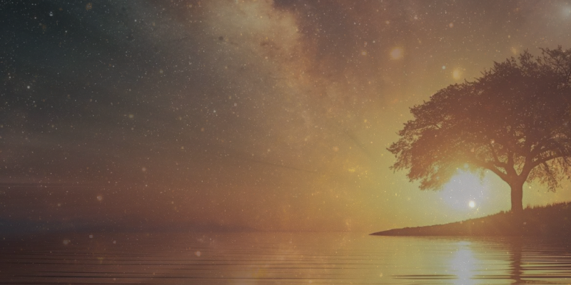 BLANKnotext 800 x 400 (1).png