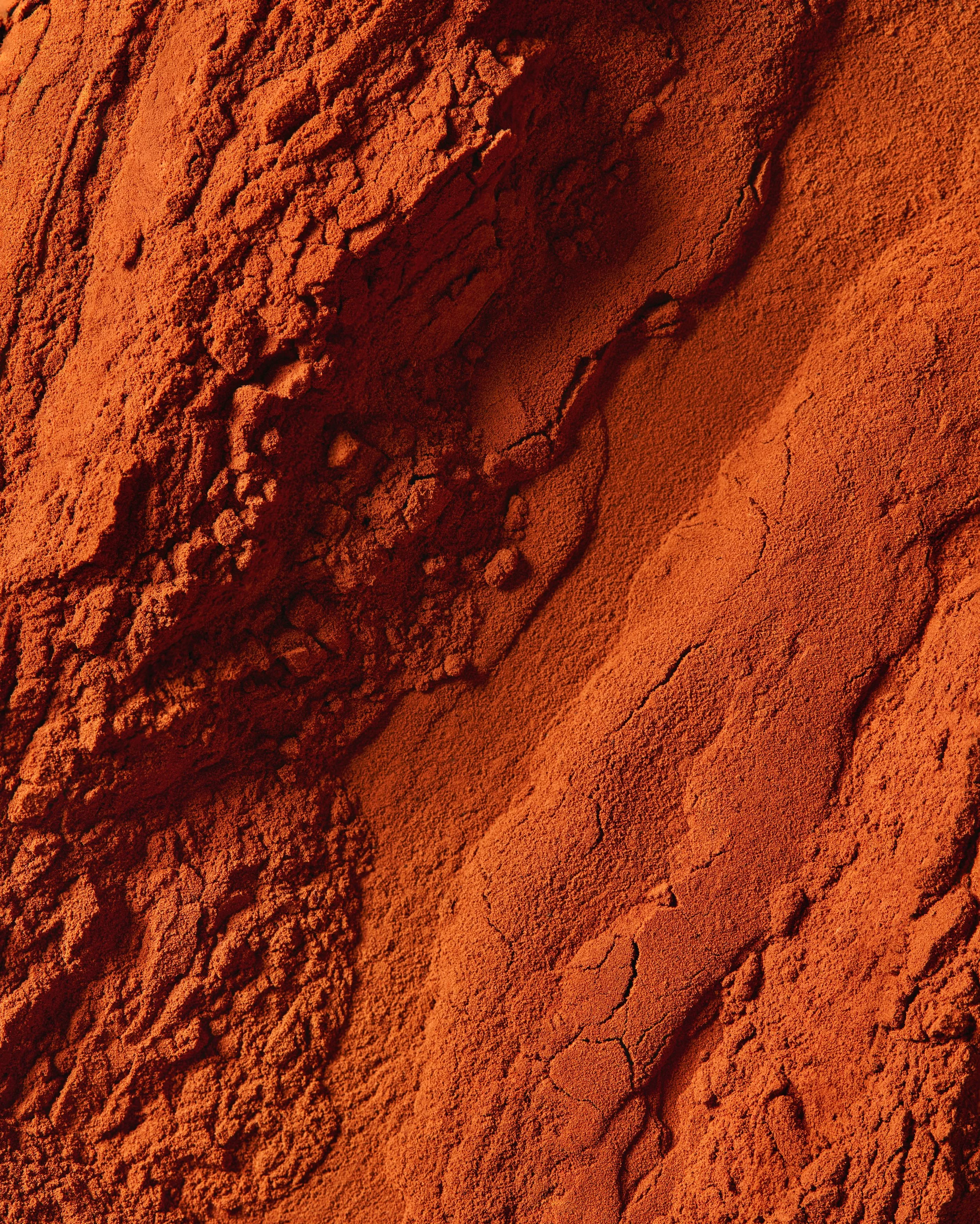 cocoa-powder2.jpg