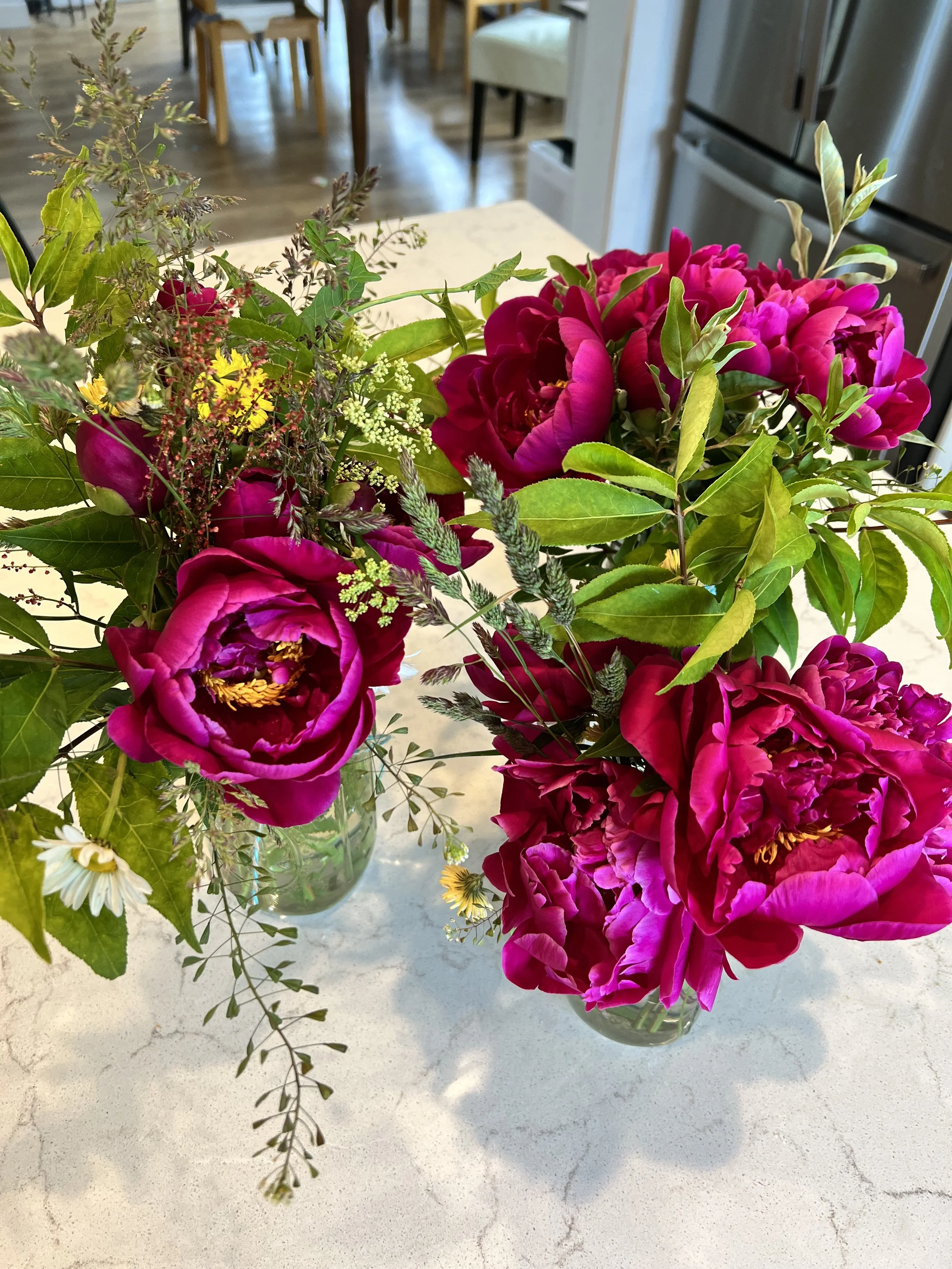 A close-up photograph of lush, light pink peonies in full bloom with soft petals and green leaves.