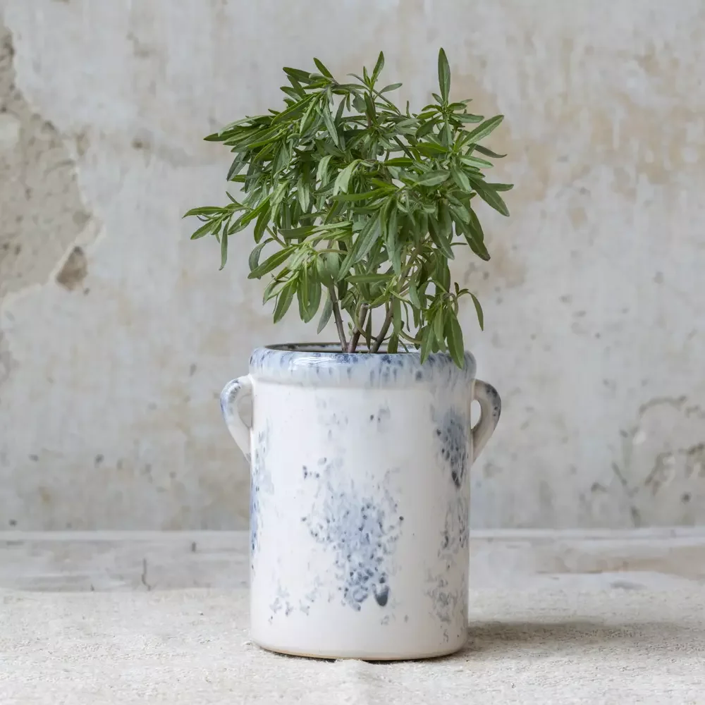 Cassis Stoneware Jar