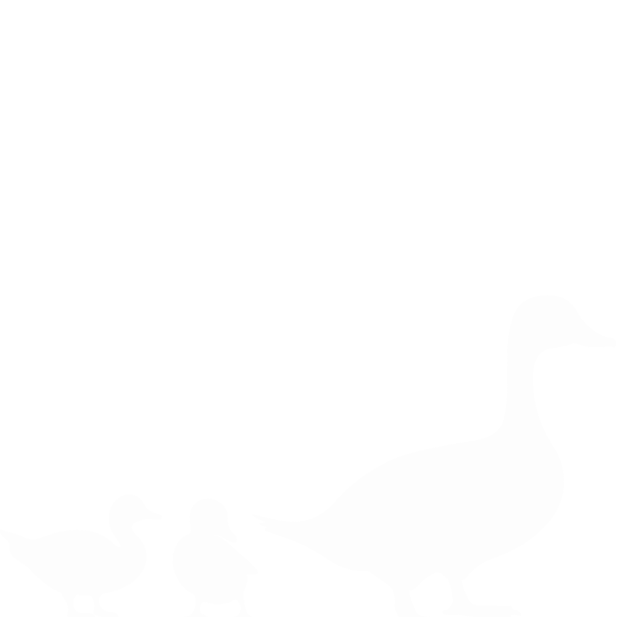 Three white ducks, two baby ducks behind a mom duck for the cookie decorating brand, Duck Duck Goose Bakery.